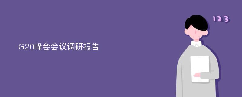 G20峰会会议调研报告